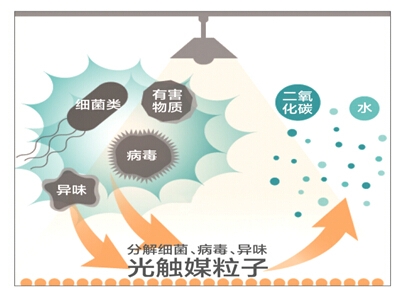曾培养3位中国院士，日本教授加入中国高校！科学界掀起赴华浪潮