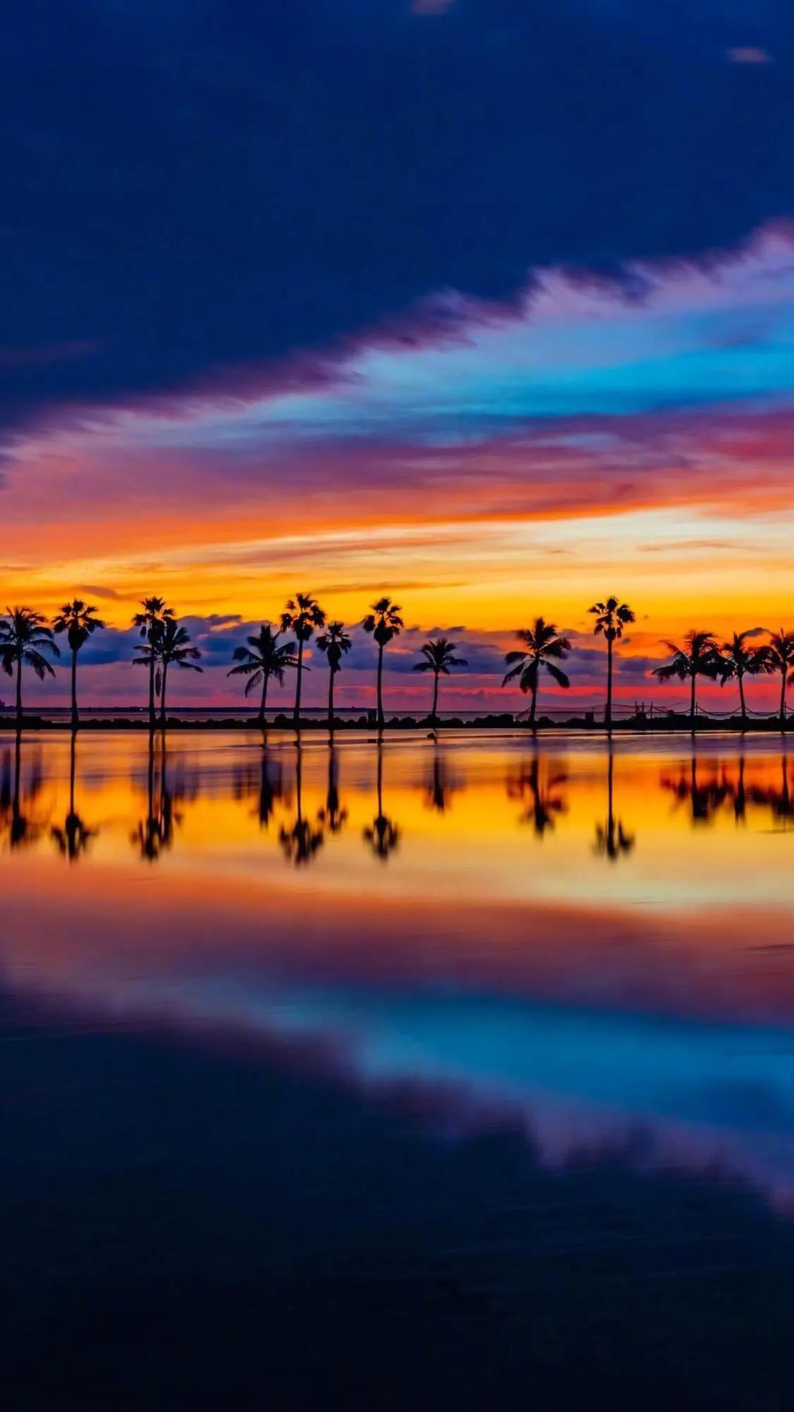 高清无水印海边夕阳椰树壁纸(一)