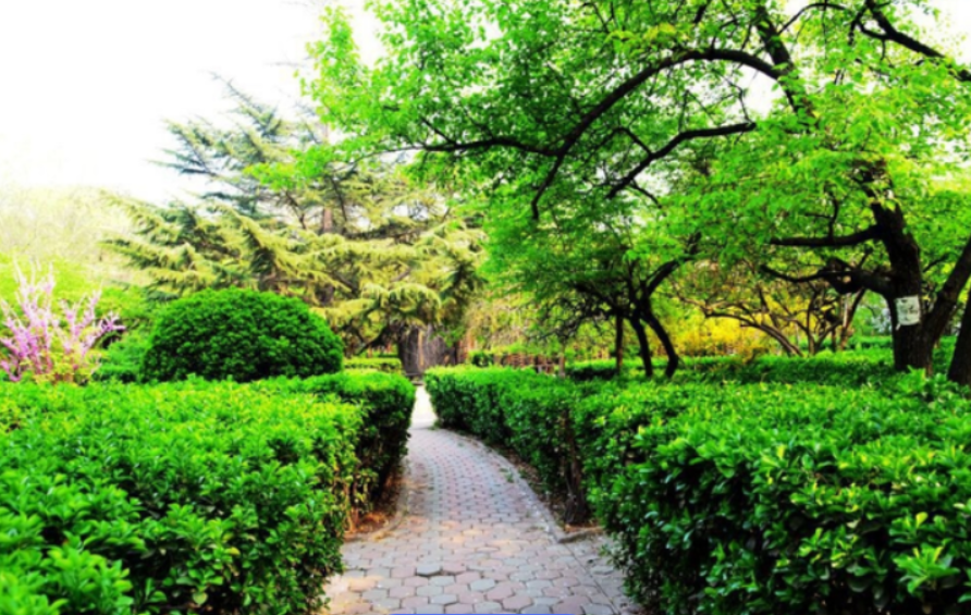 天津这所“专科院校”，毕业后能进国企！就业不输本科，性价比高