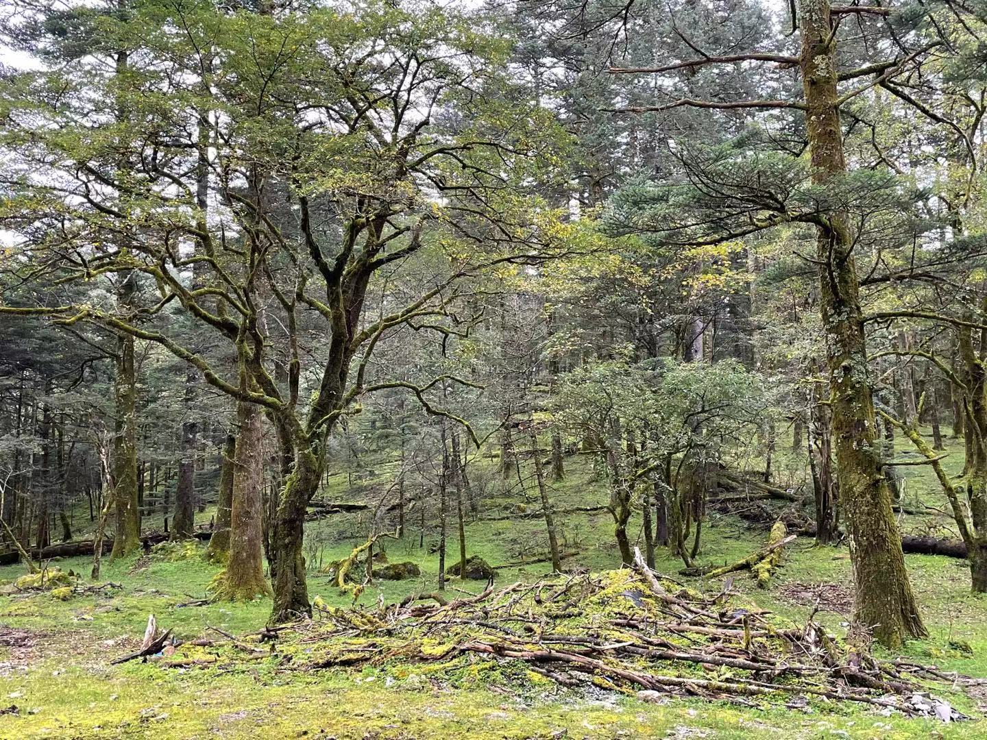 玉龙雪山山麓的蓝月谷，是蔚蓝天空送给丽江的永恒印记