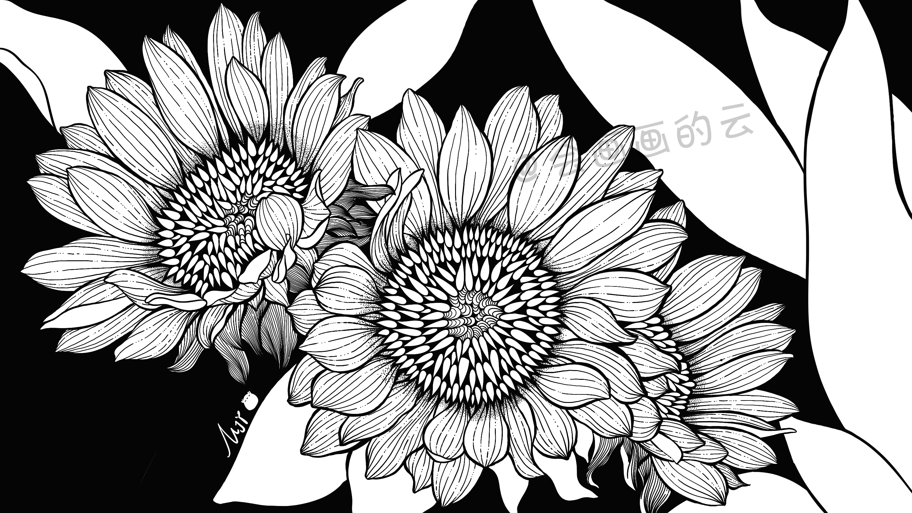 线条的魅力，线描插画过程图详细步骤讲解，教你如何零基础画画
