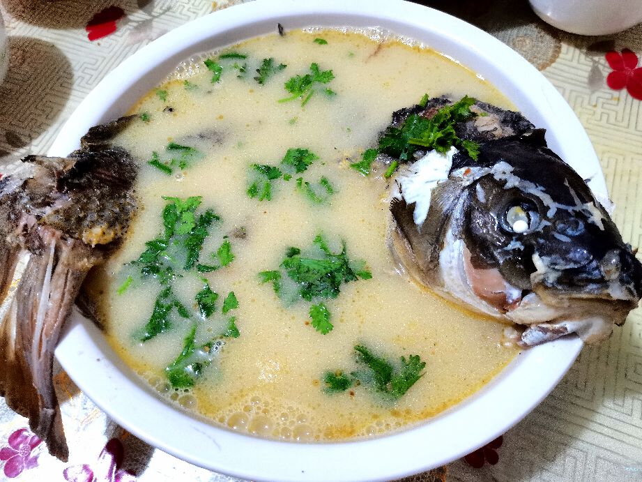 清燉鯉魚(yú)的做法,清燉鯉魚(yú)的做法和步驟視頻