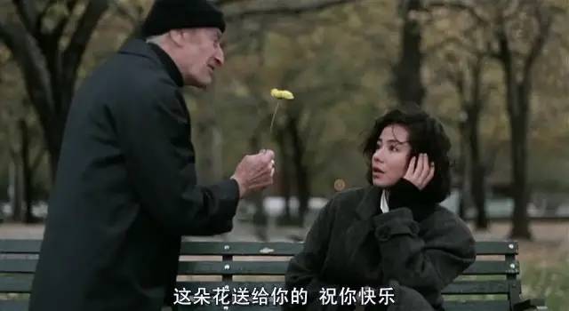 ʮ������������Ƭ���������9.1���㿴��������