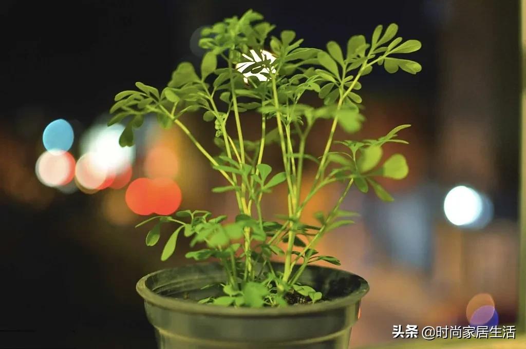 家居風水：你不可不知的家居裝潢風水九大禁忌