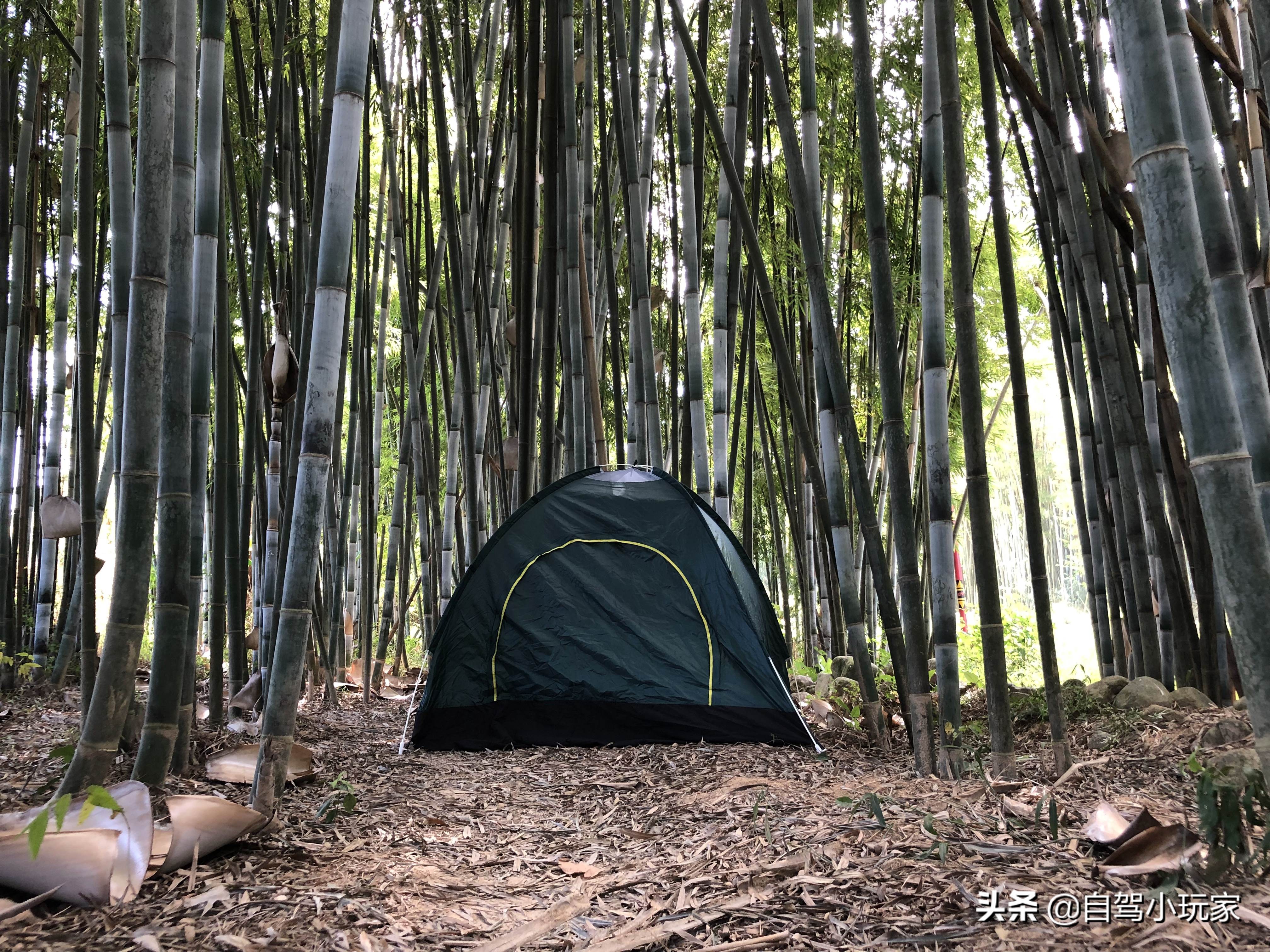 藏在惠州的一个免费“野温泉”，纯天然零污染，连婴儿都可以泡