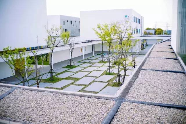 魔都上海这些年，适合翻拍流星花园的私立学校：颜值高，学生棒！