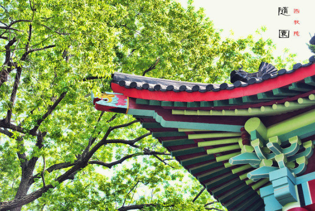 神仙颜值！坐拥