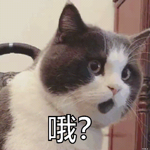 想要跻身娱乐圈？报考这些大学＆专业，你就有机会