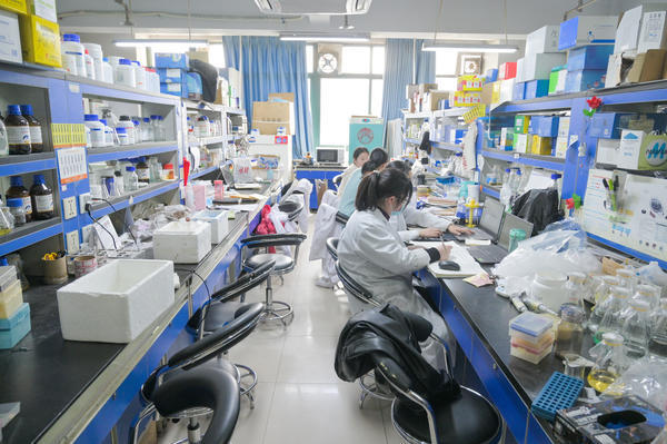 厉害了！小小“黑虫”不仅能“吃”垃圾，还能长成动物蛋白！河南农大还凭它签了份150万美元的合同