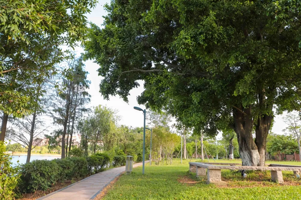 一年四季海仔湖公园的景观各不相同快来这里感受一下东莞的秋天啊~趁