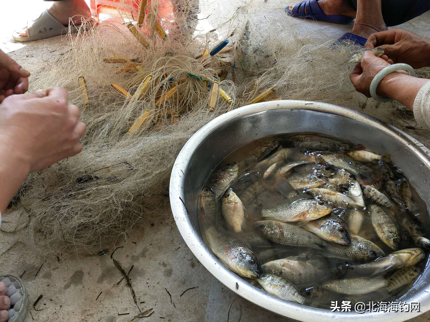 在合浦白沙，感受自然，捉鱼玩水