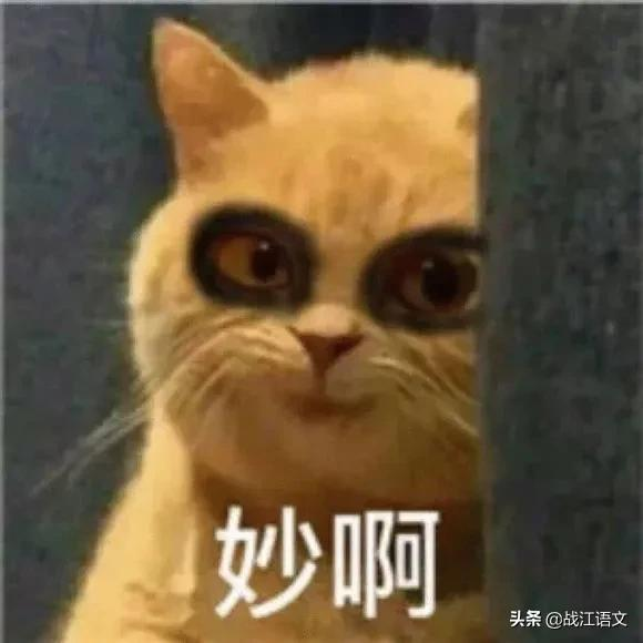 高中有哪些吹爆的学习秘诀和经验?