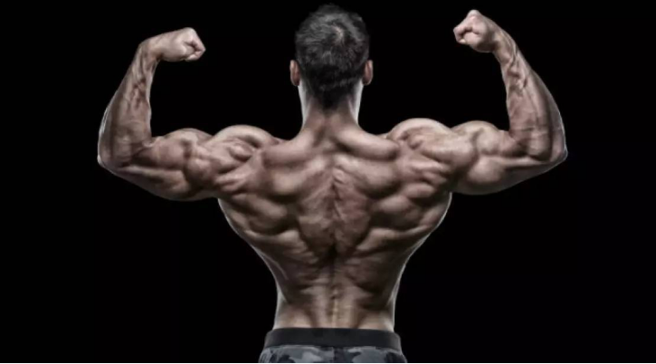 如何把背練寬？3個動作讓你的背部充滿力量，綻放迷人背部肌群