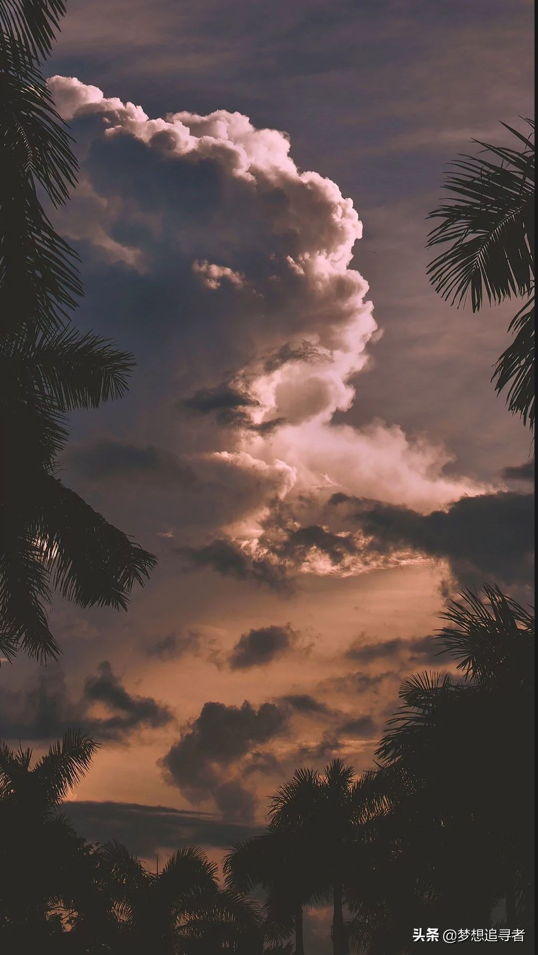 适合女生简单文艺风说说：天黑有灯 下雨有伞 偶尔怀念 时常庆幸