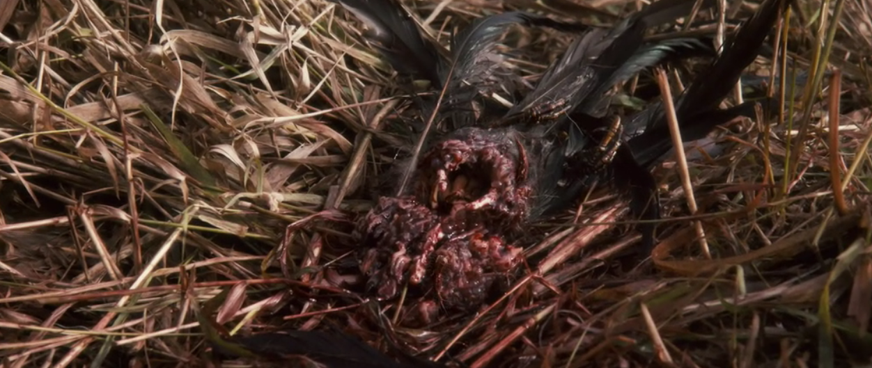 解冻电影剧情解析「解说」 _晶羽科技