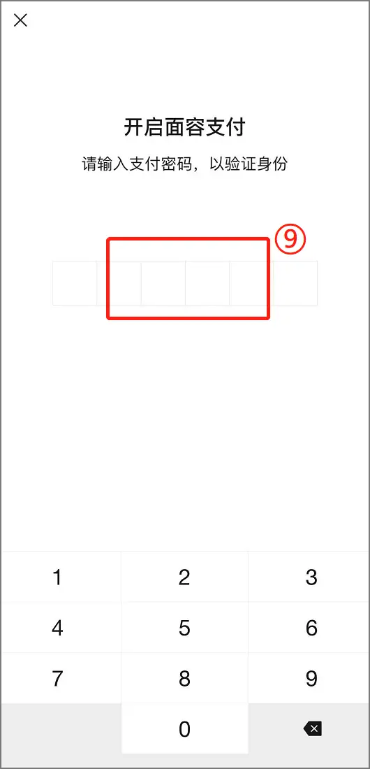 微信面容支付怎么设置（微信怎么没有面容支付选项）