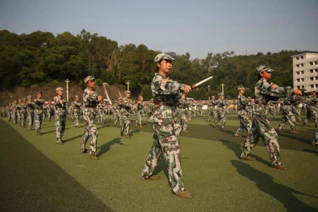 高职高考必看｜广东南方职业学院