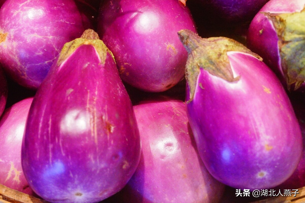 紫色的东西图片（秋天要多吃10种紫色食物）