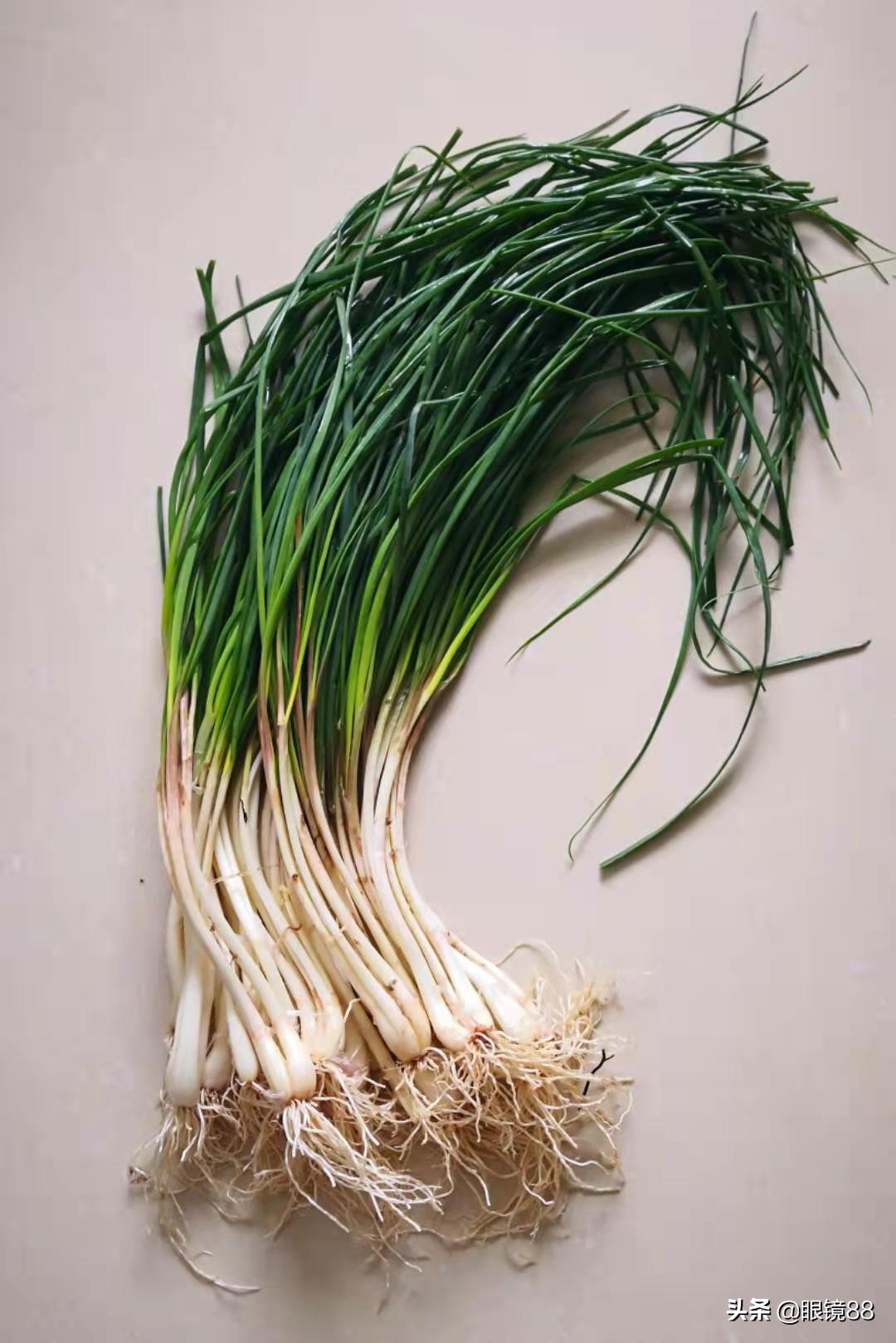 难忘的家乡特色菜之藠最难忘的家乡美食