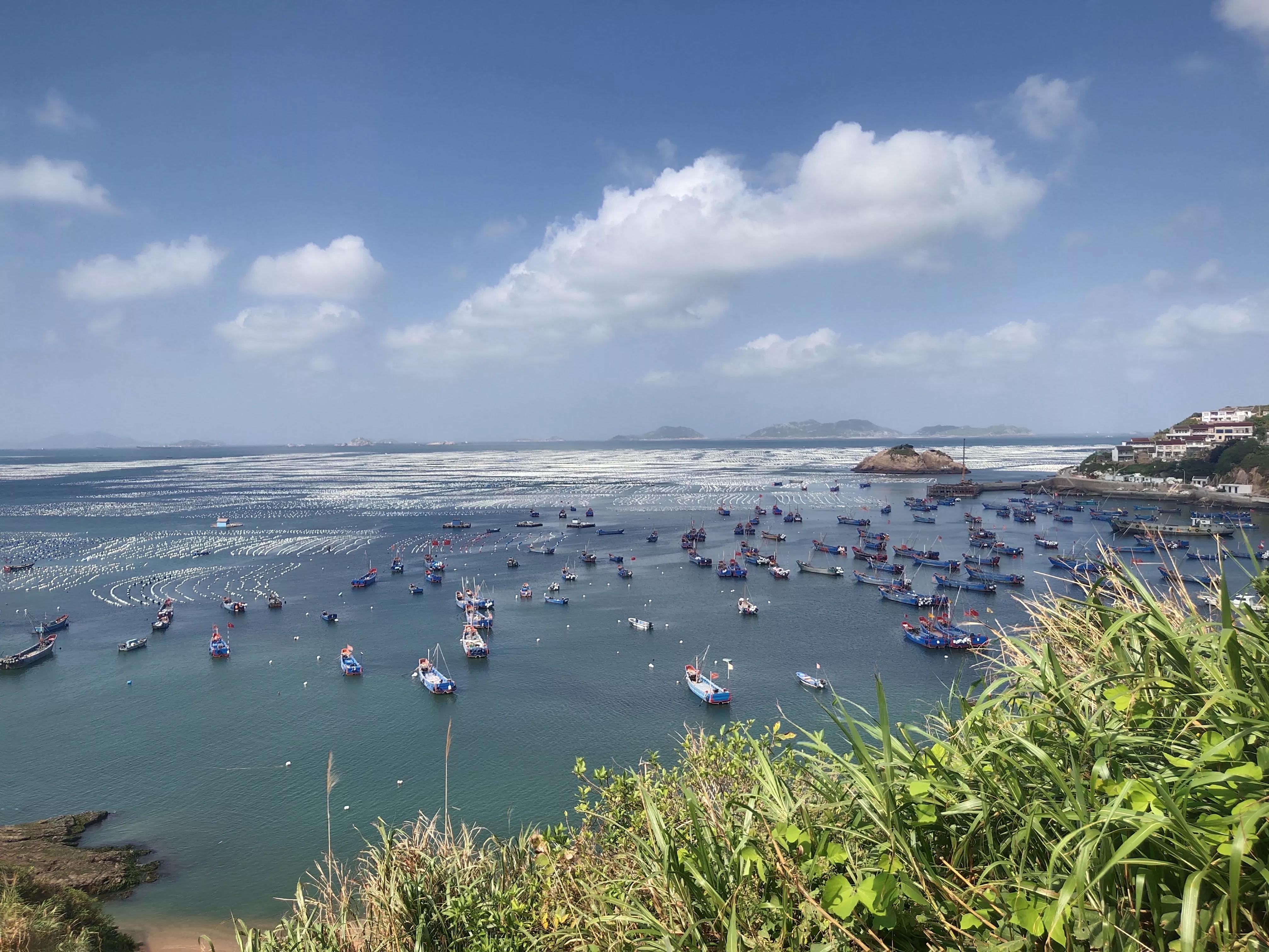 嵊山岛旅游攻略(上海到枸杞岛) - 悦闻天下