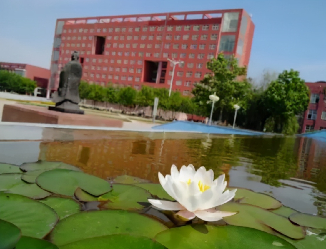 山东有2所“老牌名校”，学科实力很强，录取分数却不算太高