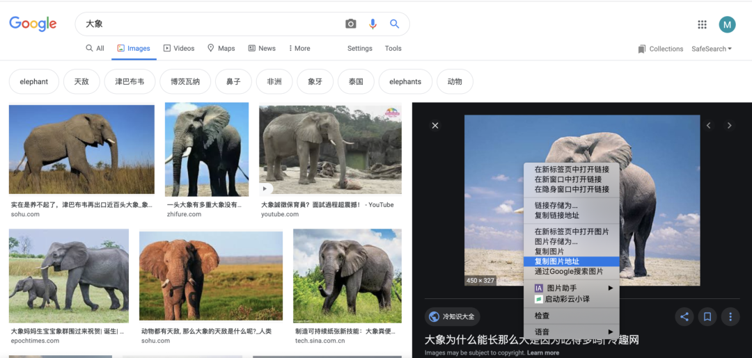 人人可用的在线抠图，AI自动化的那种！北大校友算法玩出新高度