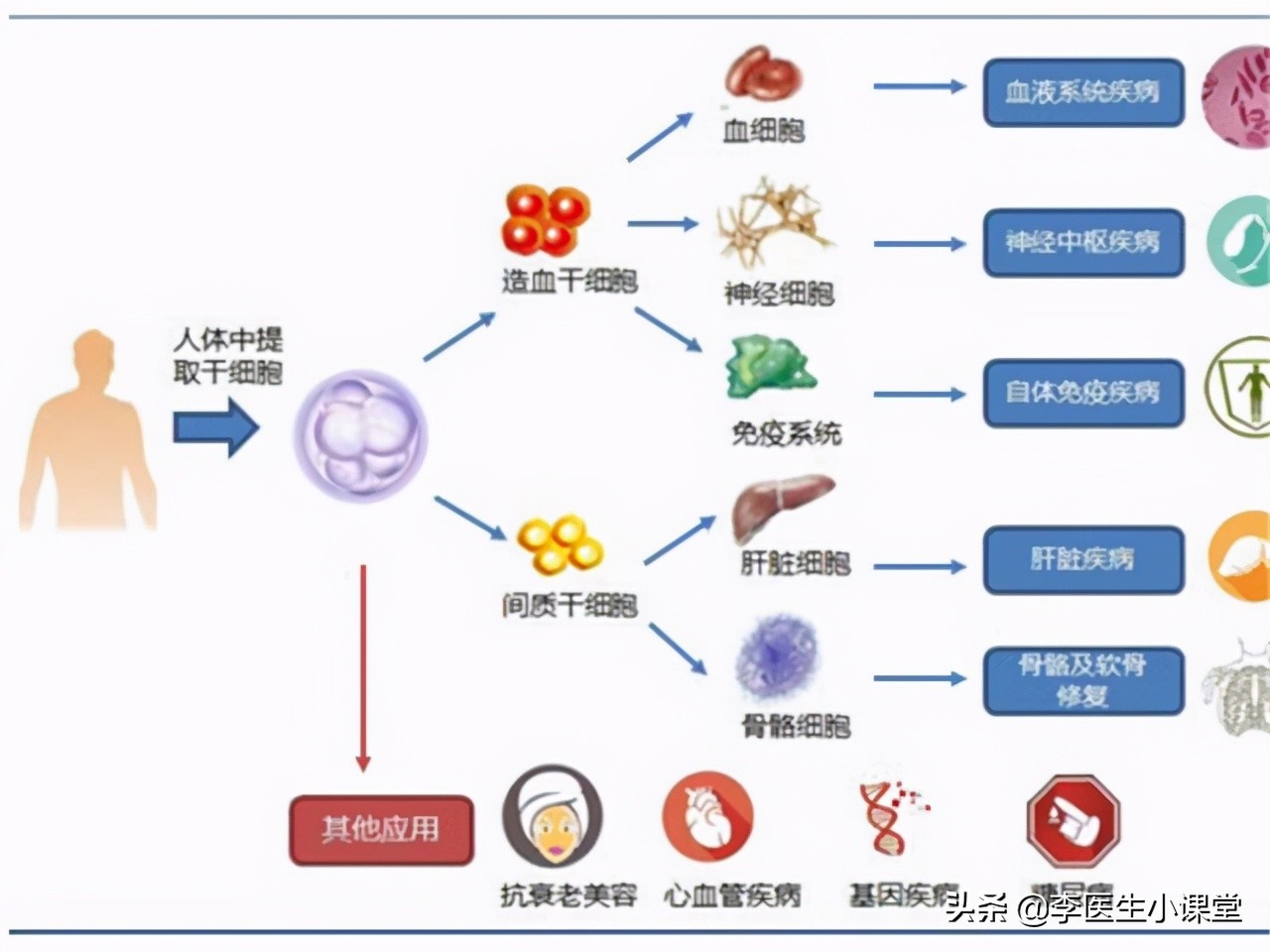 做一次CT，对人体的伤害有多大？今天明确告诉你答案