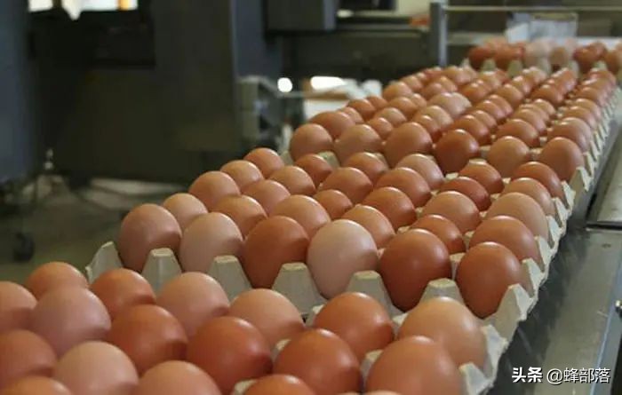 今日鸡蛋价格稳中有降，但是价格仍然持续高位，上涨原因已经找到
