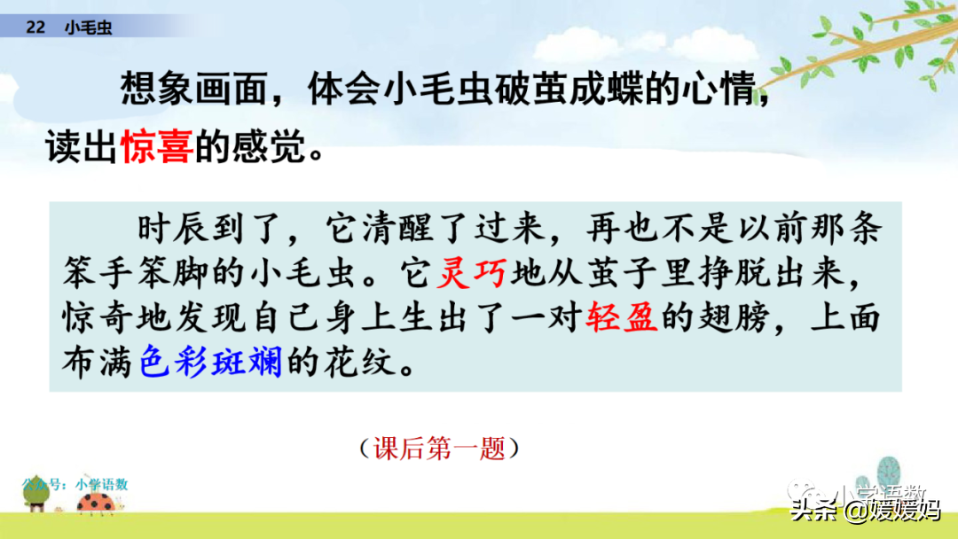 二年级下册语文课文22《小毛虫》图文详解及同步练习