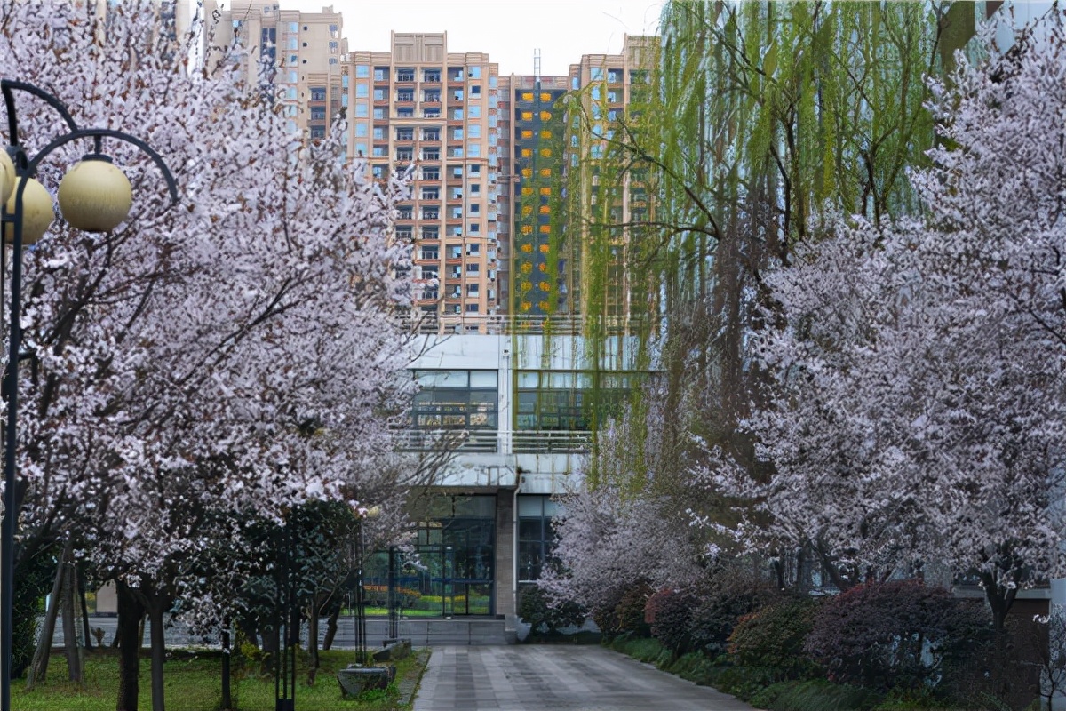 成都师范学院各专业收分，第一、第二专业啥意思？高分也能被调配