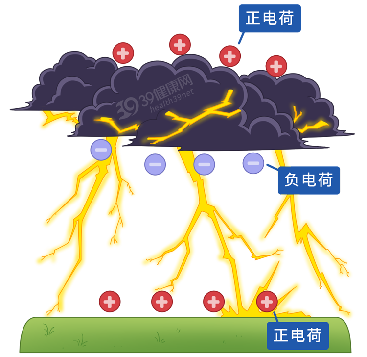 被闪电击中时，我们的身体会发生什么变化？死亡前会经历什么？