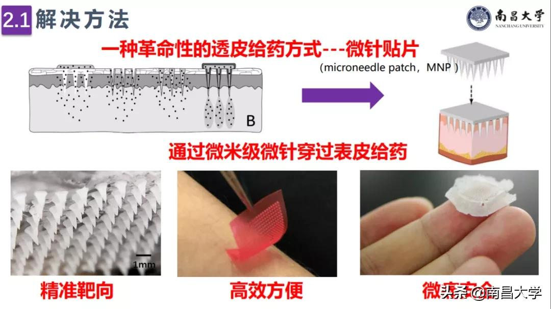 夺冠！南昌大学再捧江西省“挑战杯”！