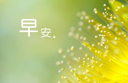 早安心语：默默鼓励自己，坚持不懈，等待那一场破茧的美丽