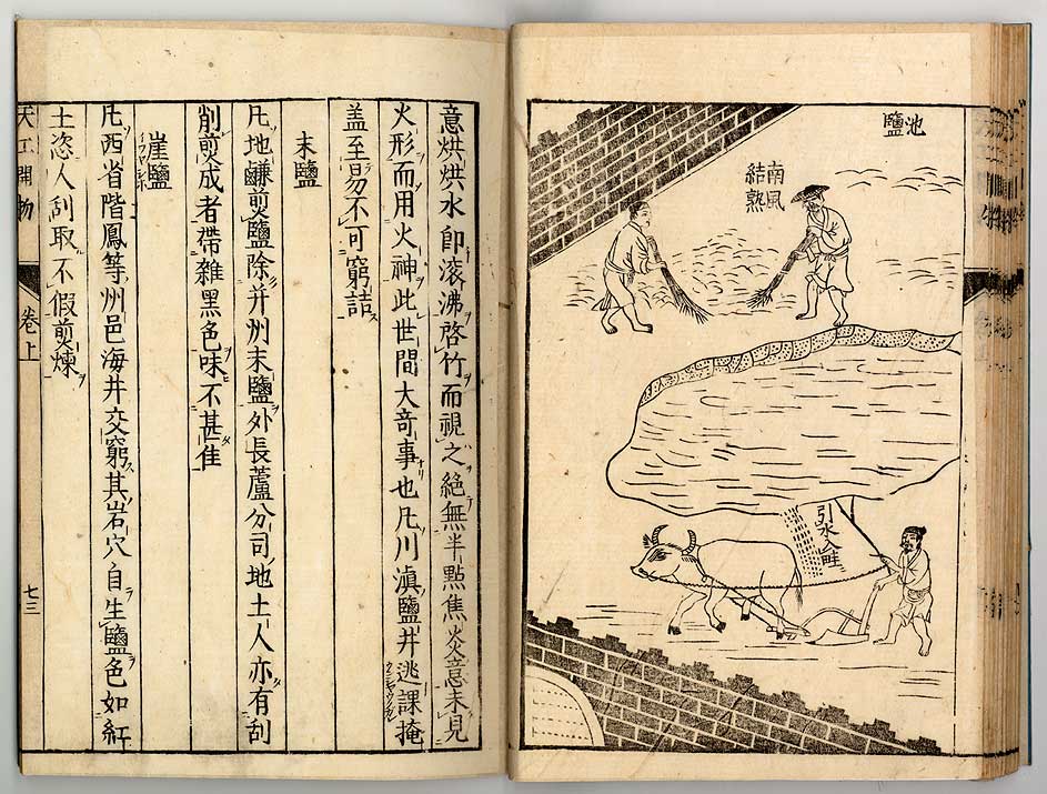 中国17世纪的工艺百科全书(明代宋应星的天工开物)