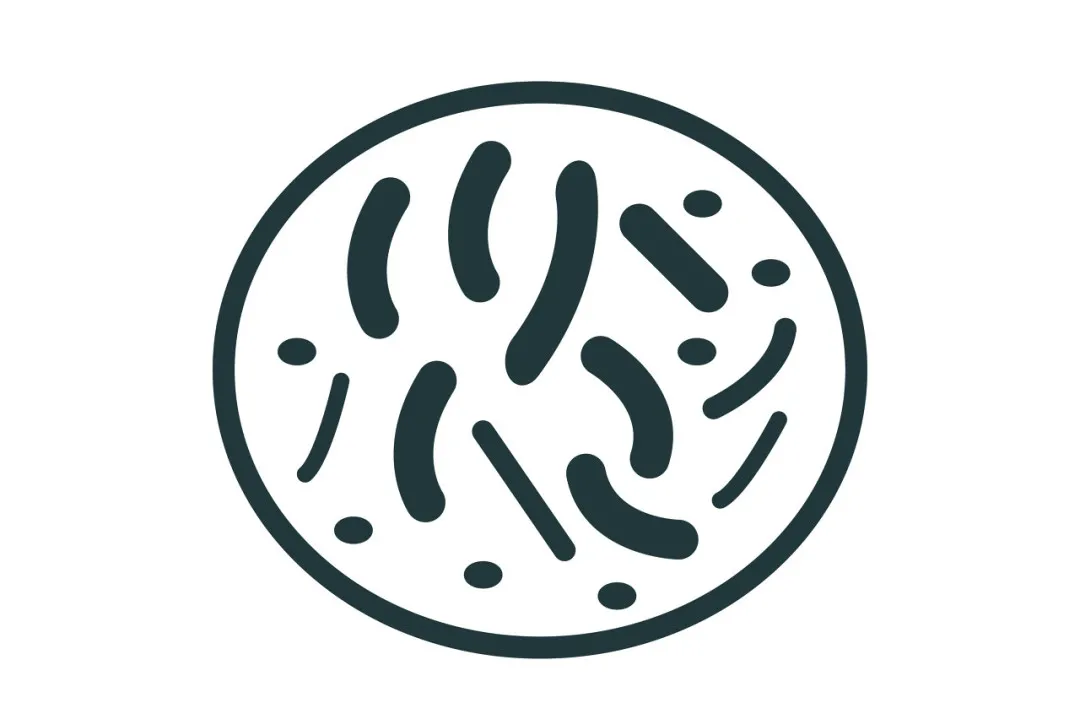 细菌中的异类，控血压、还降胆固醇，这些食物要常吃