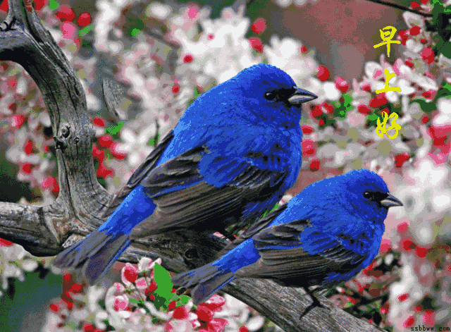 祝福语关于身体「有哪些」 _飞翔号