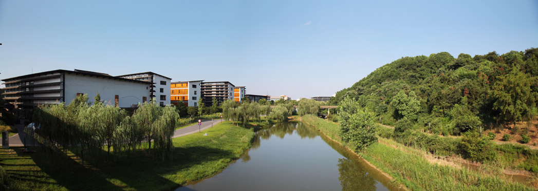 中国美术学院校考合格线发布，校考223分文化需多少分才能录取？