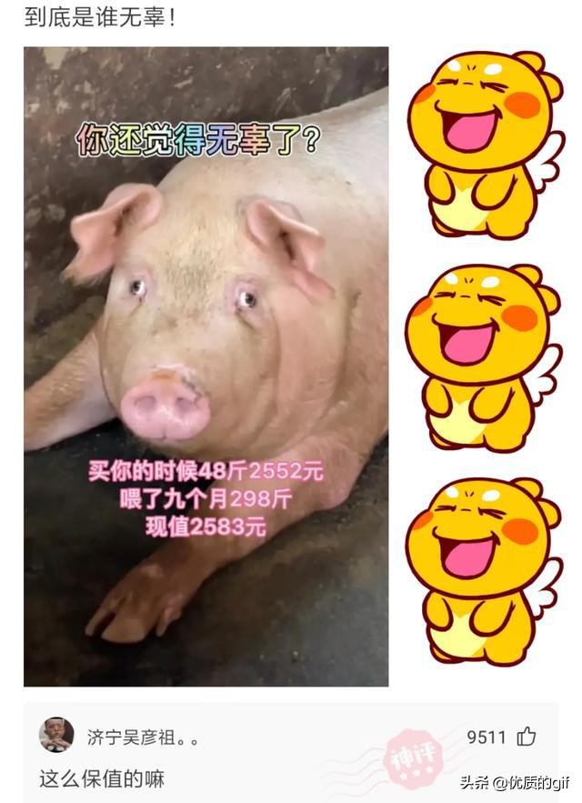 “大哥这驾照，我也是佩服了，警察叔叔都看懵了！”哈哈哈