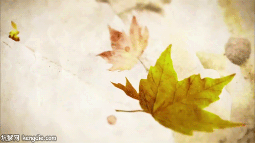 动态壁纸树叶飘落水动图片