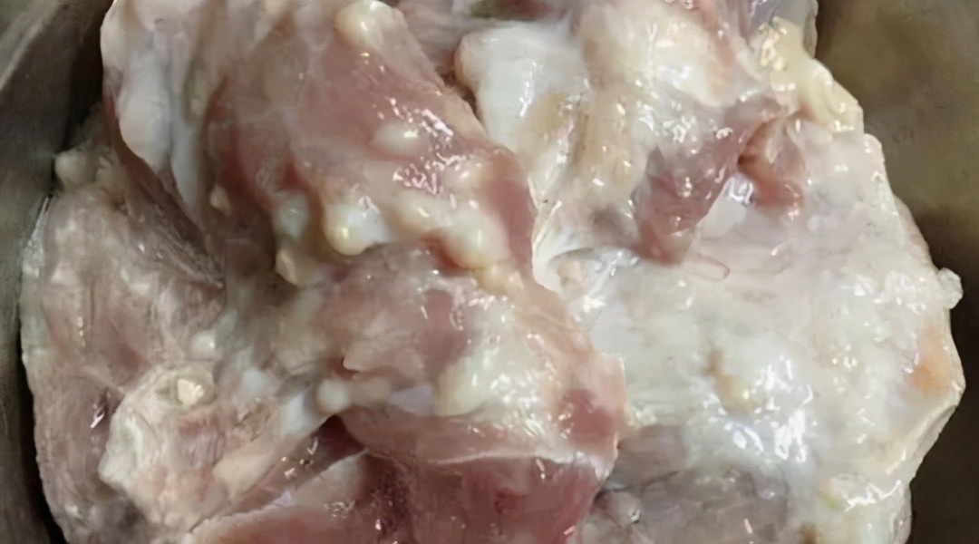 猪肉淋巴结图片(淋巴不能吃) - 赤虎壹号