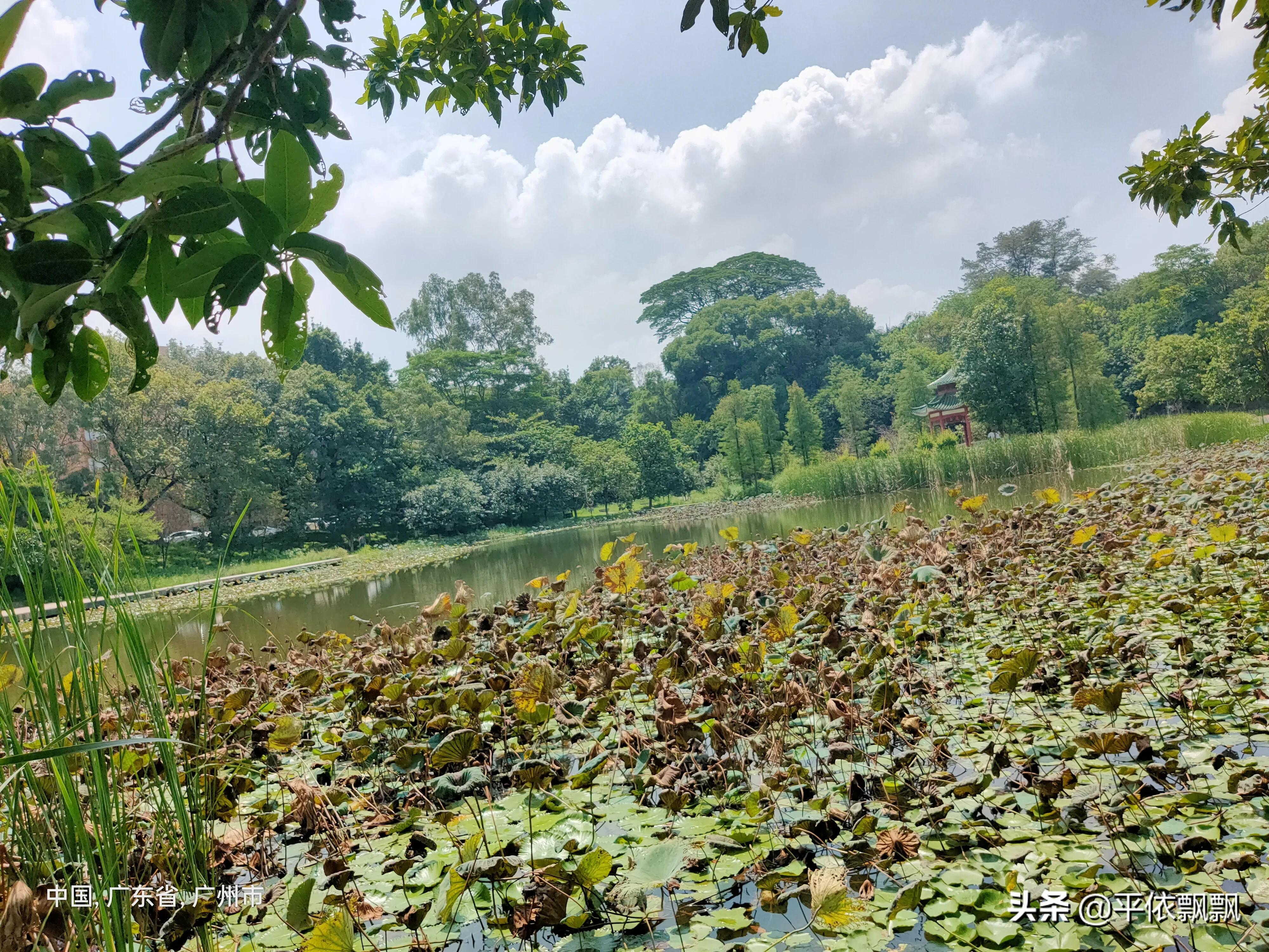 华南农业大学有五湖，一日能游完吗？