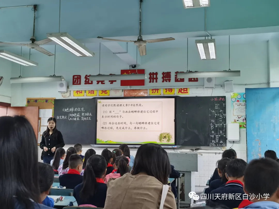 以教研为平台 促进教师专业发展——白沙小学语文教研组展示活动