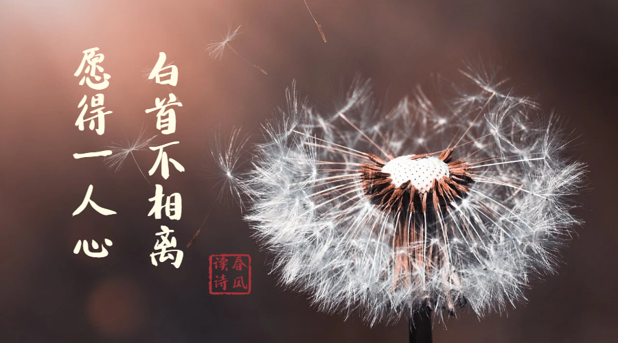 桃之夭夭，灼灼其华。之子于归，宜其室家。