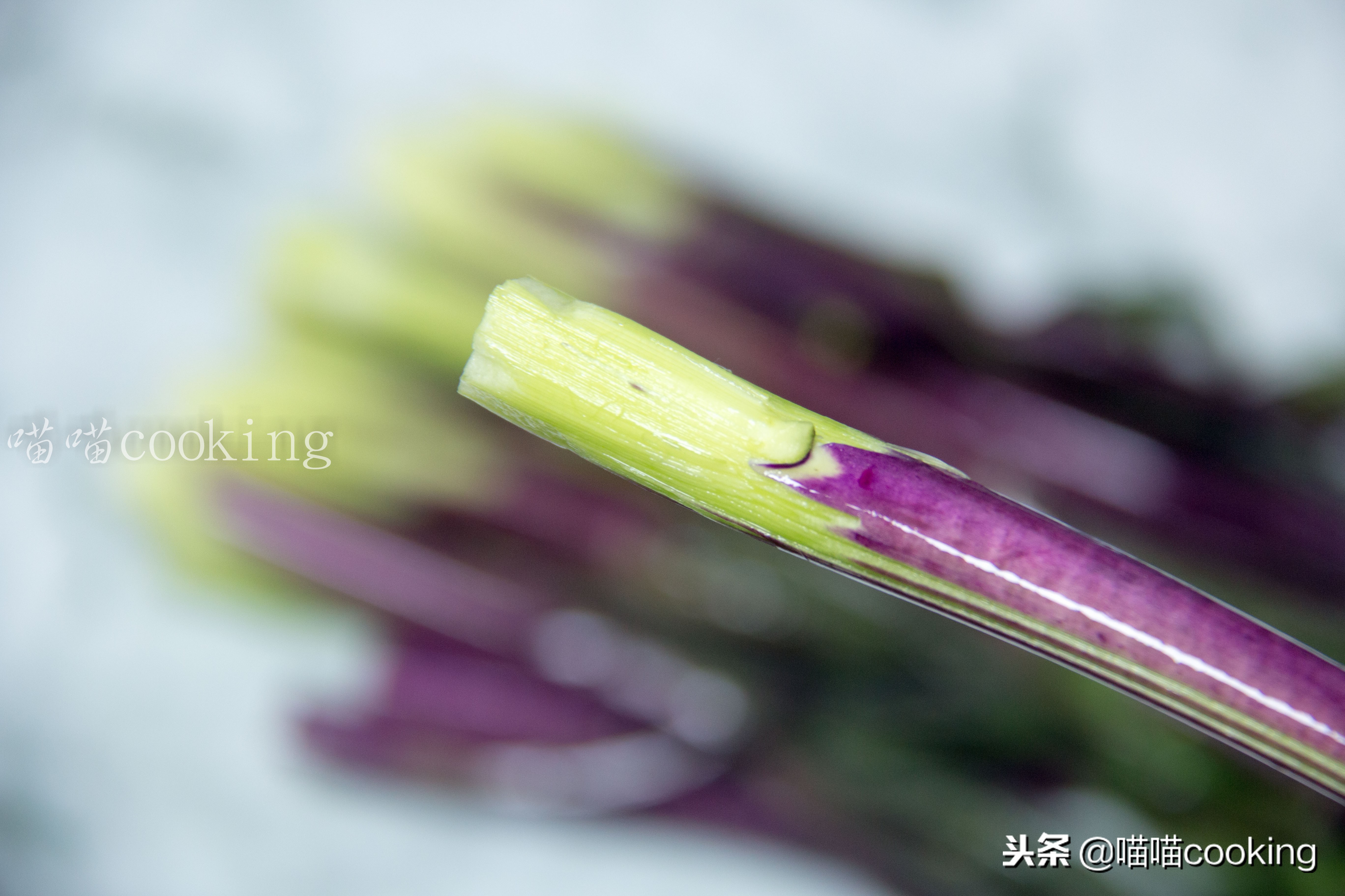 这个菜很神奇，质嫩清甜，维生素含量高，冬天更要多吃