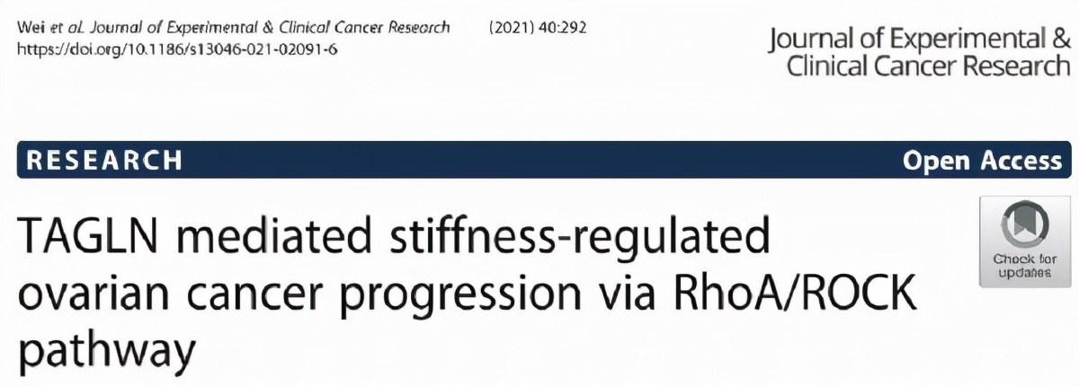 【卵巢癌】靶向TAGLN可能为卵巢癌治疗提供临床治疗价值