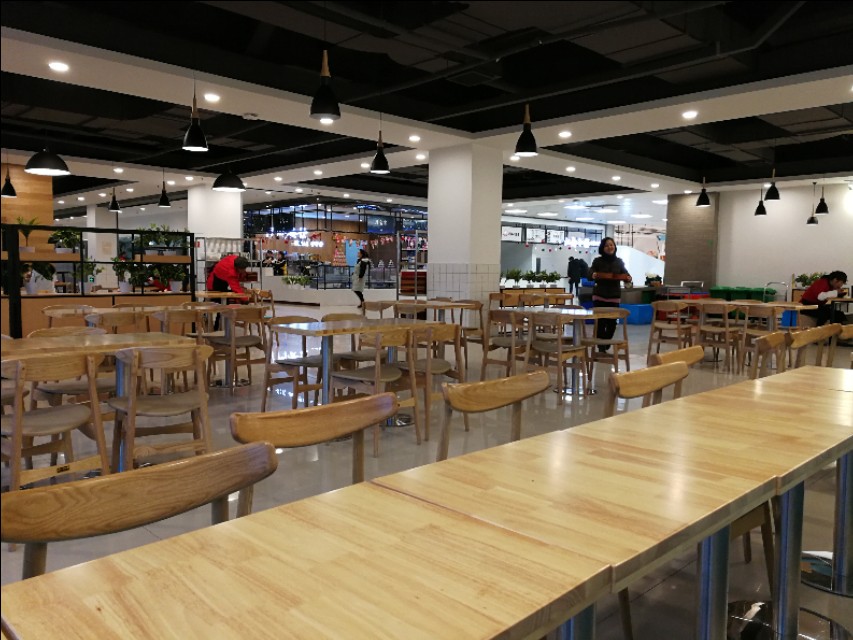 这里不仅有大树、高楼，更有大师——带你参观南京大学仙林校区