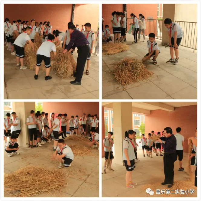 昌乐县第二实验小学：厚植成长沃土(图15)