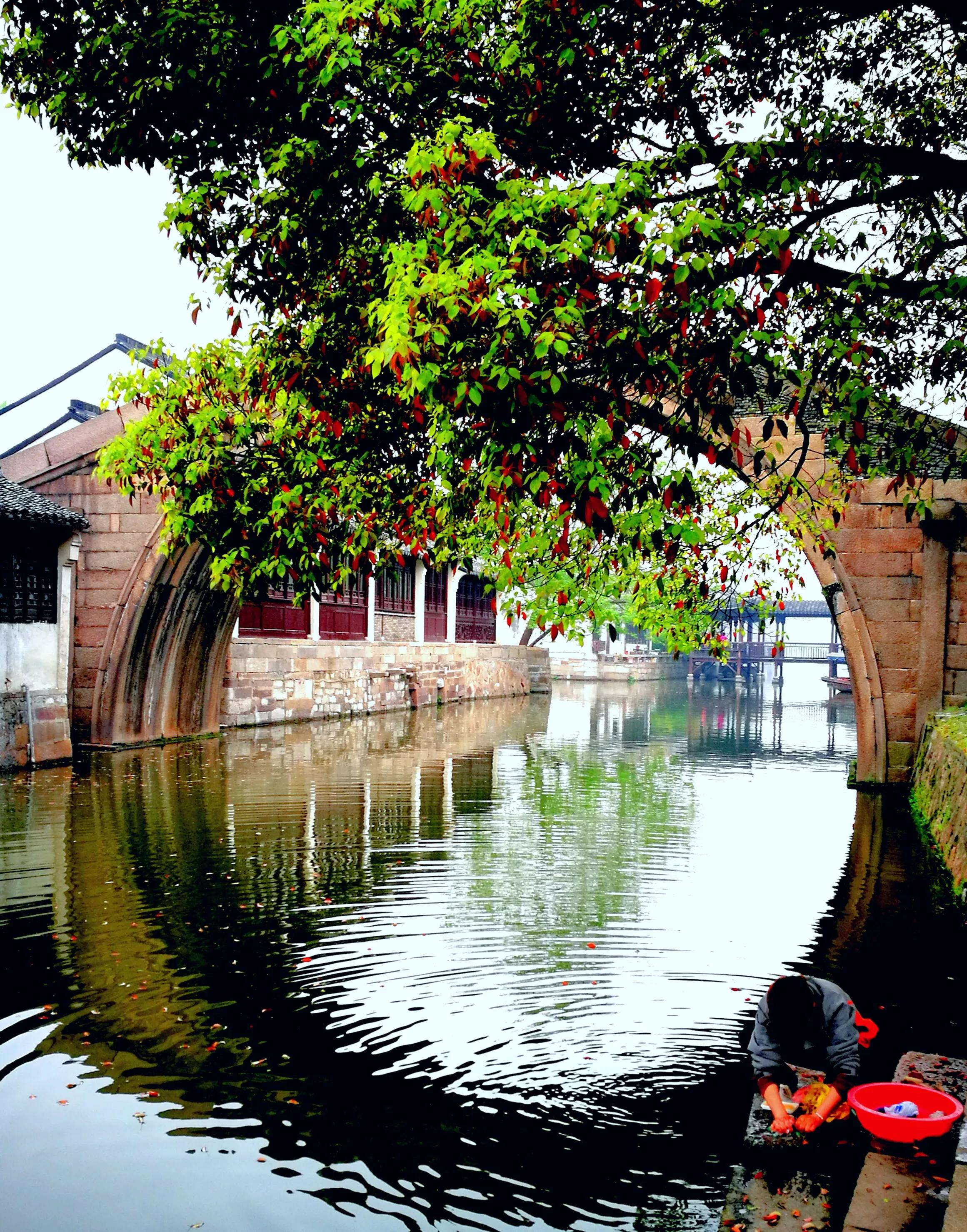 手拍世界（手机摄影平台）-群员作品集（总第733期）