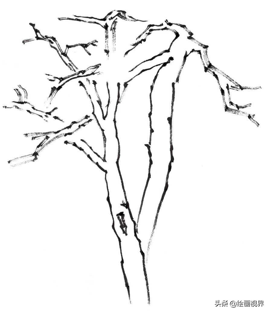 画国画树不会画？教你常见树的画法，简单易学，收藏起来临摹学习