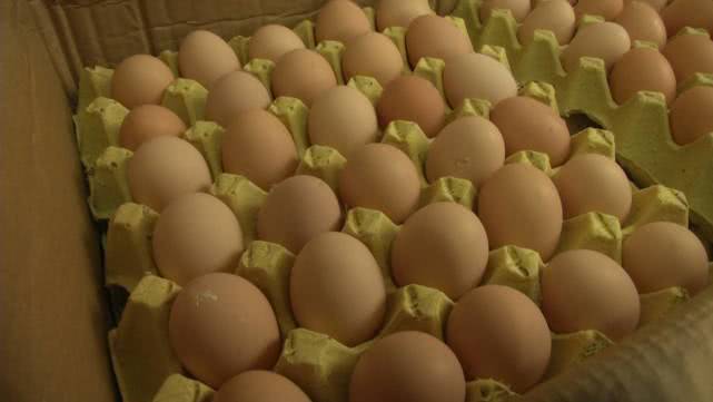 鸡蛋价格“坐火箭”！一箱鸡蛋半月涨20元，零售价破6，批发商直呼火箭上涨让人害怕